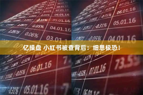 亿操盘 小红书被查背后：细思极恐！
