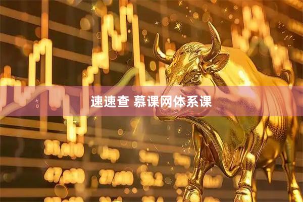 速速查 慕课网体系课