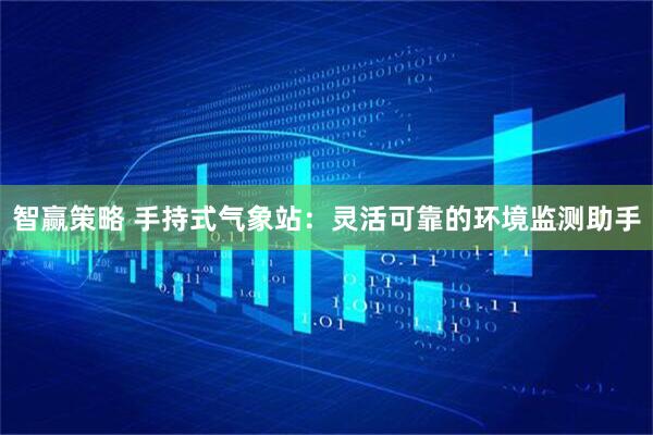 智赢策略 手持式气象站：灵活可靠的环境监测助手