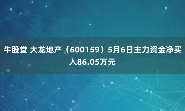 牛股堂 大龙地产（600159）5月6日主力资金净买入86.05万元
