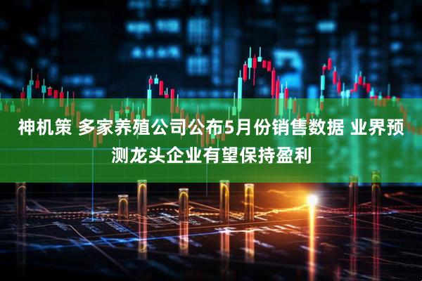 神机策 多家养殖公司公布5月份销售数据 业界预测龙头企业有望保持盈利