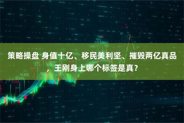 策略操盘 身值十亿、移民美利坚、摧毁两亿真品，王刚身上哪个标签是真？