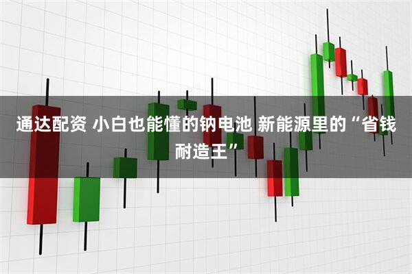通达配资 小白也能懂的钠电池 新能源里的“省钱耐造王”