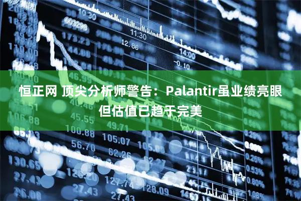 恒正网 顶尖分析师警告：Palantir虽业绩亮眼但估值已趋于完美
