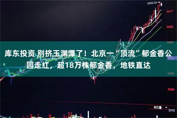 库东投资 别挤玉渊潭了!北京一“顶流”郁金香公园走红,超18万株郁金香,地铁直达